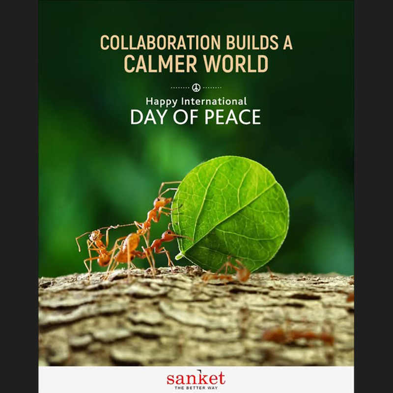 On International Day of Peace, Sanket explores the depths of human insight to foster calm through collaboration